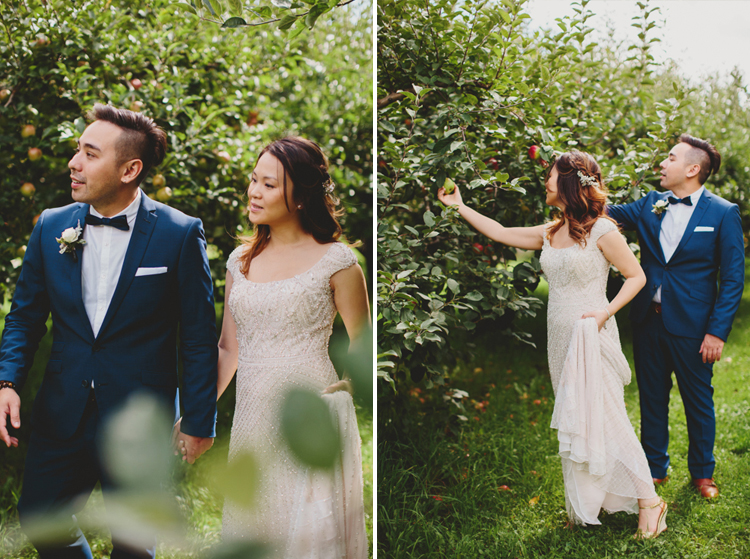 apple orchard wedding photos