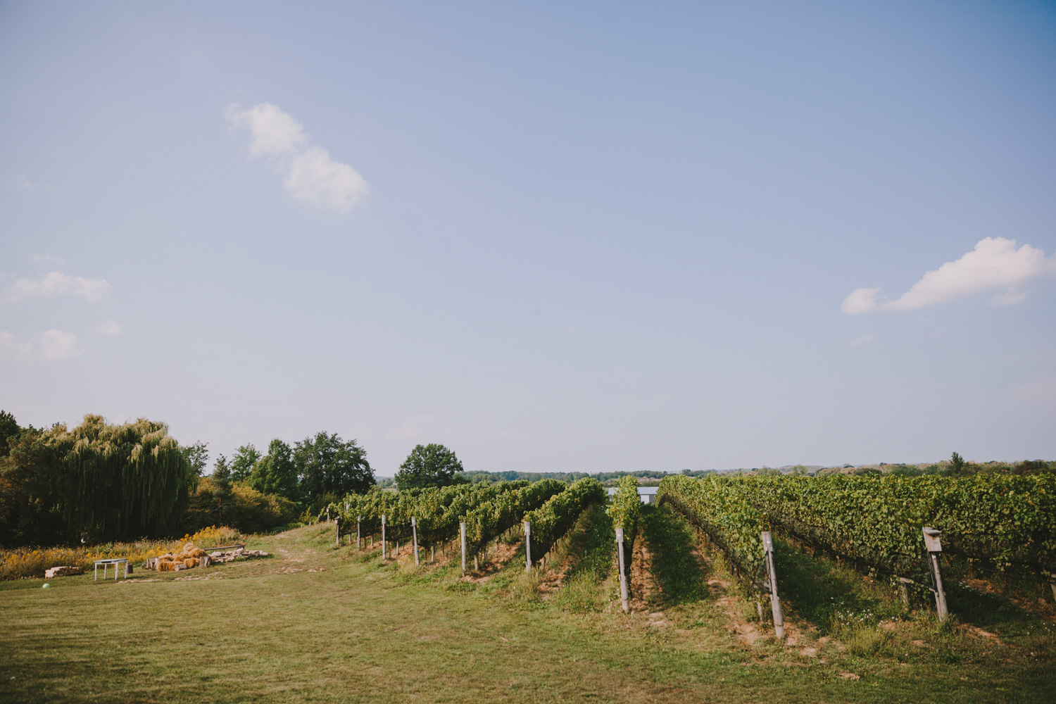 ravine-vineyard-winery-niagara-tent-wedding-231