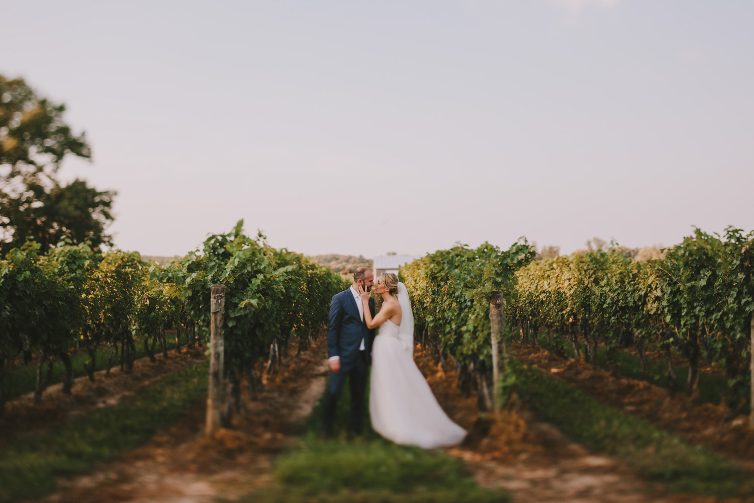 ravine-vineyard-winery-niagara-tent-wedding-572