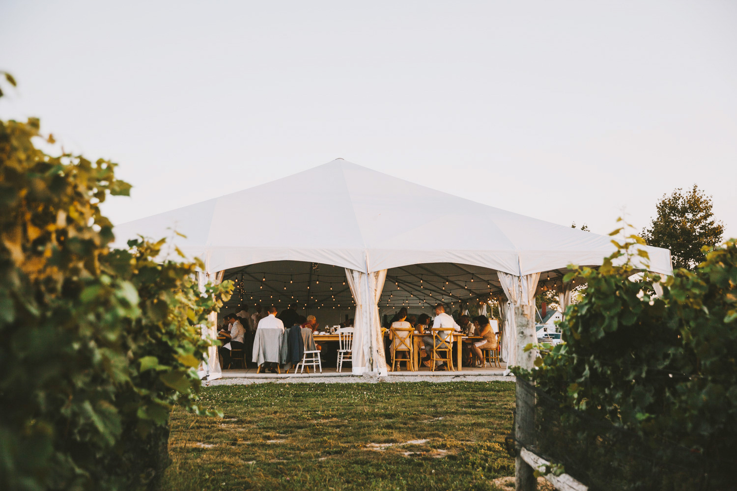 ravine-vineyard-winery-niagara-tent-wedding-684